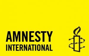 Pelanggaran Ham di Papua, Amnesty Internasional : Dalam 8 Tahun, 95 Orang Tewas Tanpa Diadili