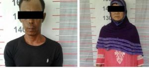Simpan 250 Kg Ganja, Polisi Ringkus Seorang Nenek Dan Pria Paruh Baya