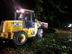 Pohon Tumbang Akibat Cuaca Buruk, Wali Kota : Segera Diatasi