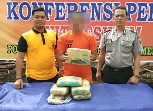 Polsek Sunggal Ringkus Pengedar Narkoba, 6 Kilogram Ganja Diamankan