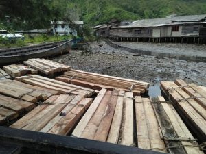 Pol Airud Sibolga Amankan Ratusan Batang Balok Kayu Ilegal