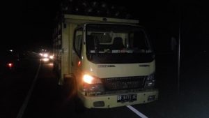 Laga Kambing Dengan Truk, Pengendara Sepeda Motor Revo Tewas