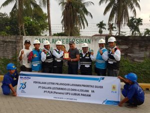 Hari Listrik, PLN Pakam Pasok Setrum Premium 14 Juta VA