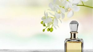 Agar Wangi Parfum Tahan Lama, Ini Titik Yang Disemprot