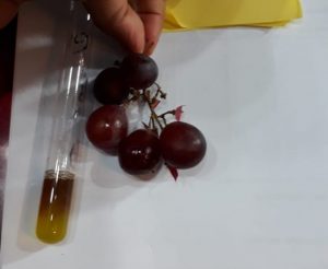 Buah Berformalin Ditemukan di Pasar Nauli, Dinkes Sibolga Lacak Distributor