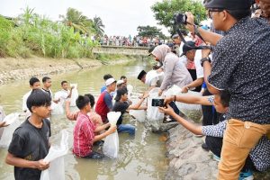 Tingkatkan Perekonomian Masyarakat, Gubsu Tebarkan 20 Ribu Bibit Ikan Nila di Panyabungan