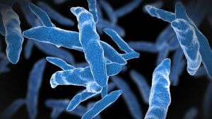 Awas, Bedakan dulu Infeksi Virus Atau Bakteri Sebelum Mengkonsumsi Antibiotik