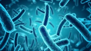 Ternyata ada 2.000 Bakteri Yang Ditemukan Dalam Perut Manusia