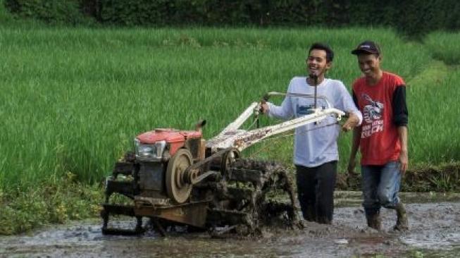 Kementan Perkuat Program Padat Karya Untuk Tingkatkan Infrastruktur Pertanian