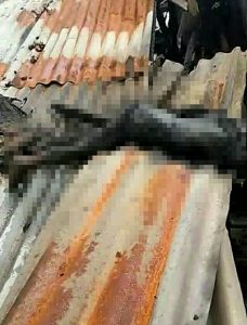 Tiga Hari Pasca Ledakan Bom, Potongan Mayat Kembali Ditemukan