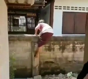 Alamak, Nenek Ini Panjat Tembok Seperti Spider Man
