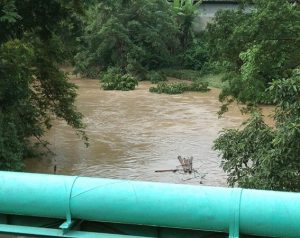 Dilanda Hujan Deras Semalaman, Debit Air Sejumlah Sungai di Medan Meningkat