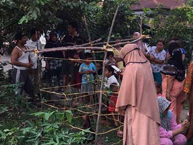 Tumbuh Di Halaman Rumah, Bunga Bangkai Ini Hebohkan Warga