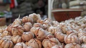 Dianggap Permainkan Harga Bawang Putih, Ini Ancaman Mentan Pada Importir Nakal
