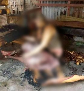 Sadis, Pria Ini Tega Bakar Ibunya Sendiri