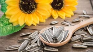 Meskipun Kecil, Ini Dia Nutrisi Penting Yang Terkandung Di Kuaci