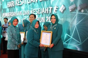 TP PKK Kota Medan Raih Penghargaan Pakarti Madya III Pelaksana Terbaik PAAR 2019