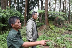 Tahura Tak Terawat, Wagubsu : Akan Segera Di Restorasi