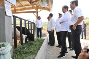 Kembangkan Pariwisata, Lahan Terlantar Dikawasan Danau Toba Akan Diambil Alih Pemerintah