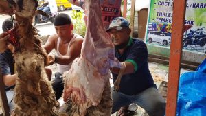 Idul Adha, Ade Sandra Bagikan Kurban 2 ekor Sapi dan 10 Kambing Ke Masyarakat