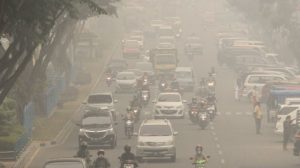Jadi Penyebab Karhutla, 42 Perusahaan di 5 Provinsi Disegel KLHK