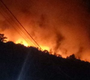 Hutan Dan Lahan Di Tapteng Terbakar, Ini Imbauan Bupati