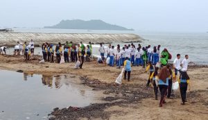 WCD di 3 Daerah Pantai Barat Sumut, 3 Ribu Partisipan Kumpulkan 9 Ton Sampah