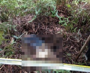 Hilang Sebulan Yang lalu, Pria Ini Ditemukan Sudah Jadi Tengkorak Di Hutan