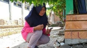 Kucing Peliharaan ‘Baku Hantam’ Halau Kobra Masuk ke Rumah Majikan