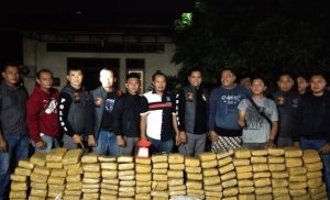Polisi Amankan 160 Kilogram Ganja Yang Disimpan Di Kebun Karet