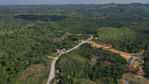 Calon Ibu Kota Baru Indonesia Masih Sering Terjadi Kebakaran Hutan