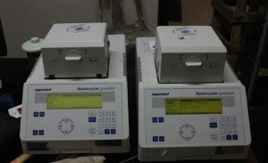 Alat PCR Tiba Di Sumut, Pekan Depan Sudah Bisa Digunakan
