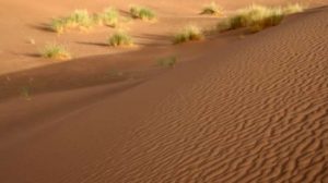 Jika Tak Dikendalikan, Suhu Dunia Akan Sama Dengan Gurun Sahara Pada Tahun 2070 Mendatang