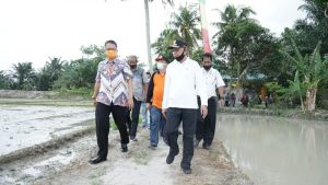 Bupati Asahan Hadiri Penanaman Padi Sawah Serentak di Desa Serdang Kecamatan Meranti