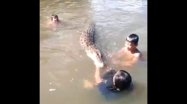 Viral, Sejumlah Bocah Terekam Video Sedang Bermain Bersama Buaya