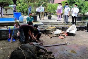 Tinjau Penyembelihan Kurban PKK Sumut, Gubernur : Harus Jangkau Masyarakat Akar Rumput