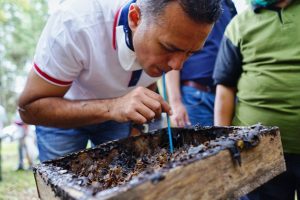 Cerita Wagub Saat Menikmati Madu Asli Dari Sarangnya