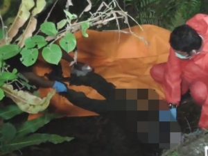 Mayat Tinggal Tulang Belulang Ditemukan Warga di Perkebunan Jati Medan Deli