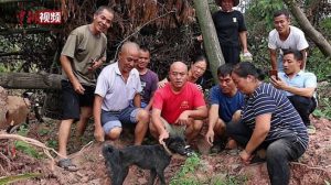 Terkubur Longsor 37 Hari, Anjing Ini Ditemukan Masih Dalam Keadaan Hidup