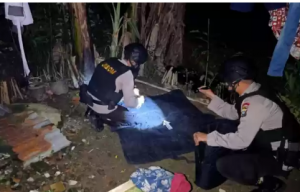 Sedang Bersihkan Halaman, Pria di Langkat Temukan Granat Sisa PD II