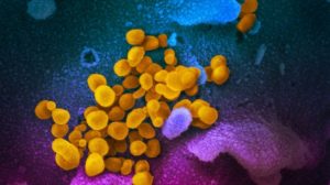 Satgas Covid-19 : Mutasi Virus B117 Inggris Belum Ditemukan di Indonesia