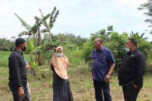 Bersama DD Waspada, Wabup Langkat Rencanakan Pembangunan Sentra Ternak Terpadu