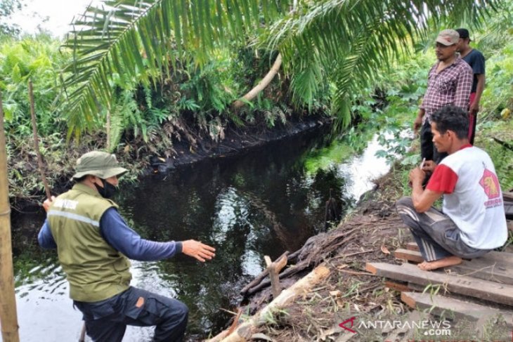 Diterkam Buaya, Tangan Nek Bahriah Putus dan Kakinya Patah