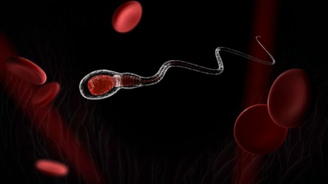 Jumlah Sperma Global Menurun,Epidemiolog : Manusia Bisa Terancam Punah