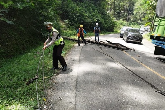 Tiang Listrik Roboh Timpa Mobil Pengandara di Lintas Parapat, Seorang Warga Terluka