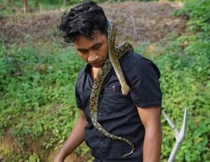 Elang, Ular dan Tikus Putih