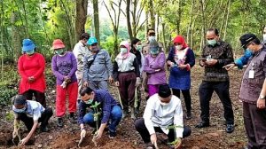 Badan Karantina Pertanian Ajak Petani Budidayakan Porang Dengan Sistem Wanatani