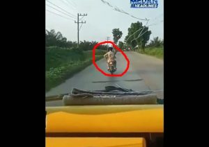 Viral di Medsos, Pelaku Pelemparan dan Pemalakan Truk di Asahan diringkus Polisi