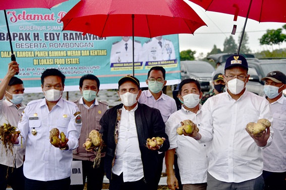 Panen Perdana di Food Estate, Gubernur : Semoga Bisa Sejahterakan Masyarakat