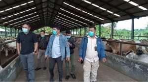 Antisipasi Kenaikan Harga Daging Jelang Lebaran, KPPU Kanwil I Sidak Pelaku Usaha